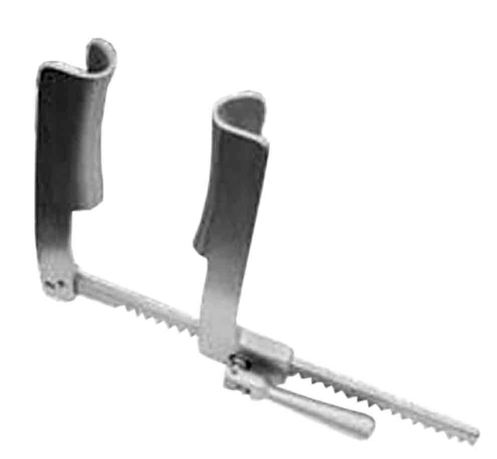 EKARTÖR (YETİŞKİN)